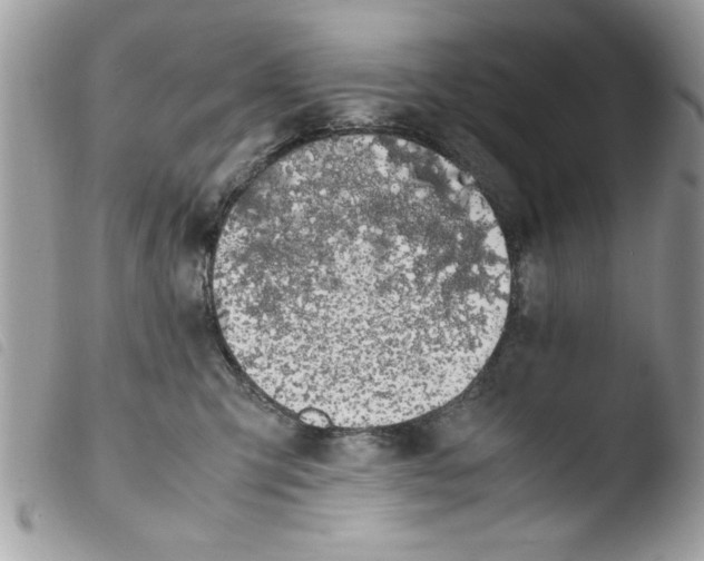 X0000103940423200810171819