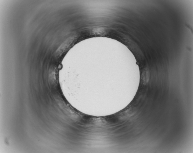 X0000103940424200810171819