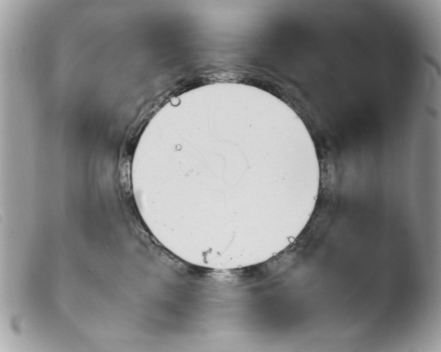 X0000103940425200810171819