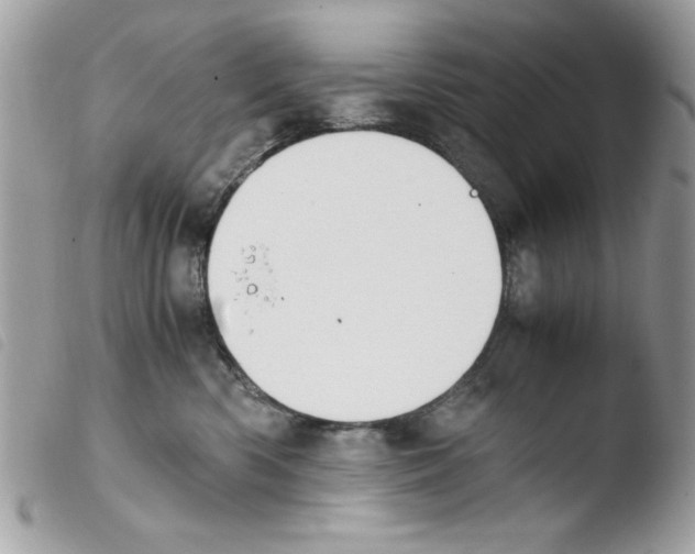 X0000103940426200810171819