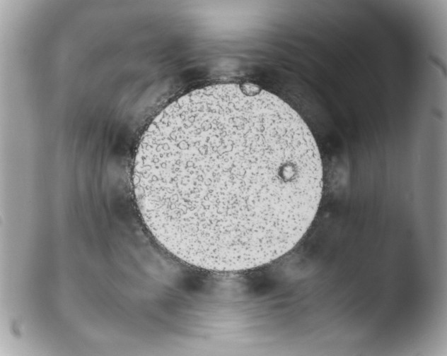 X0000103940427200810171819