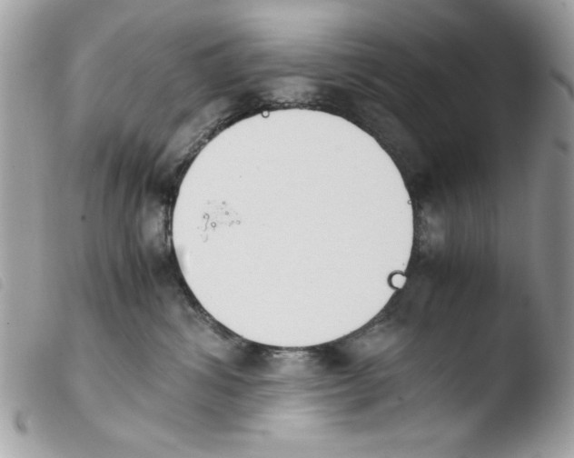 X0000103940428200810171819