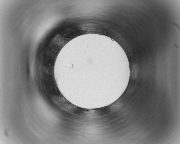 X0000103940430200810171819