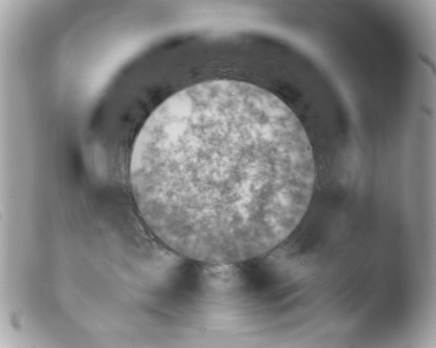 X0000103940431200810171819