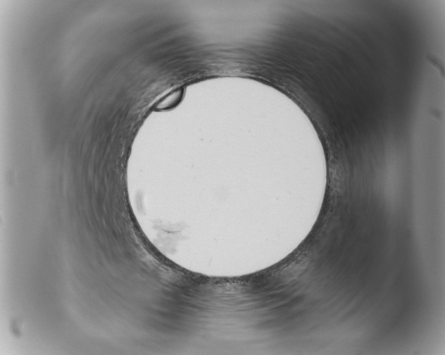 X0000103940433200810171818