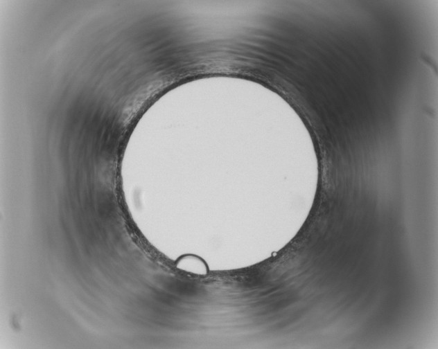 X0000103940434200810171818