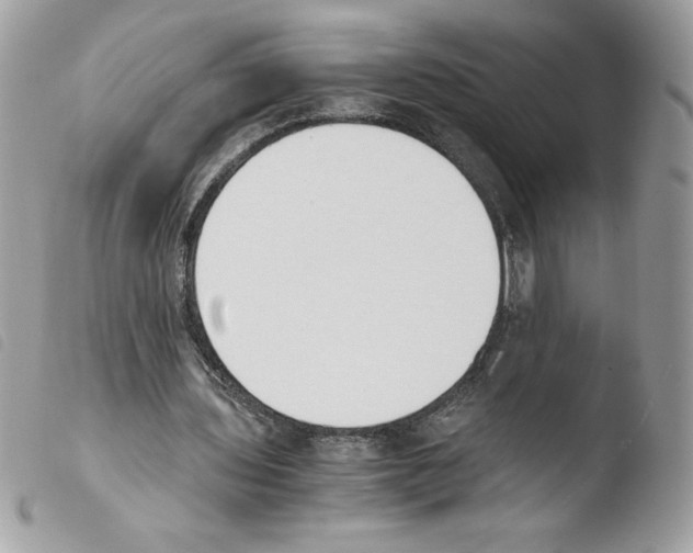 X0000103940435200810171818