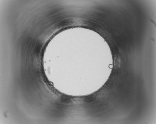 X0000103940436200810171818