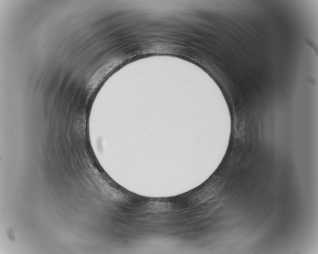 X0000103940437200810171818