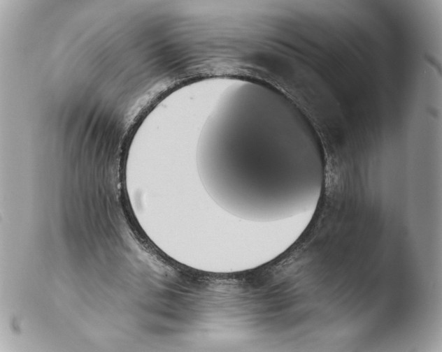 X0000103940438200810171818