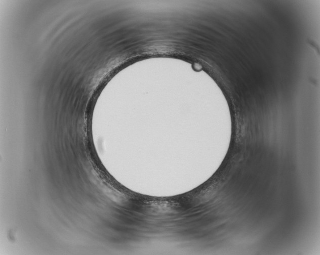 X0000103940439200810171819