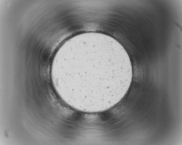 X0000103940440200810171819