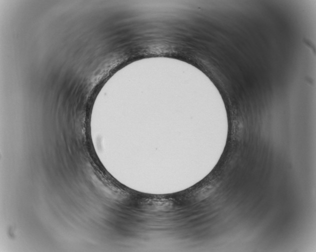 X0000103940443200810171819