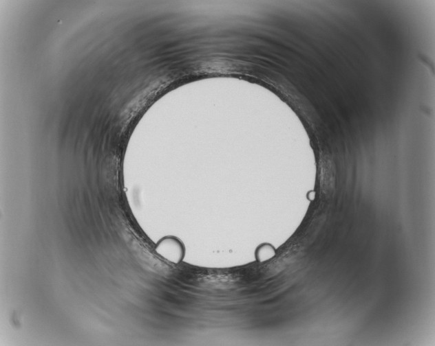 X0000103940445200810171819