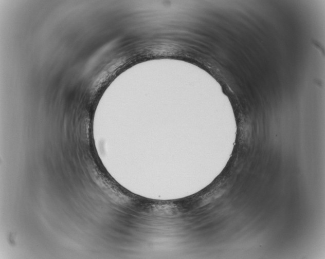 X0000103940446200810171819