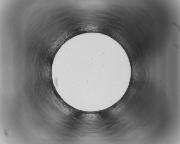 X0000103940449200810171819