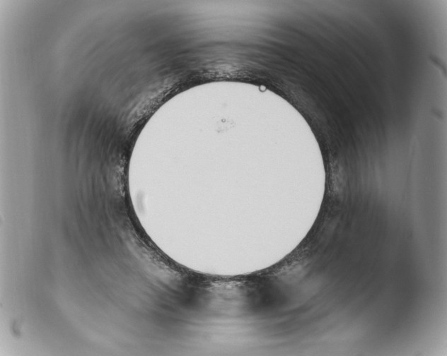 X0000103940450200810171819