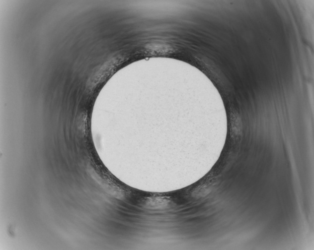 X0000103940451200810171819