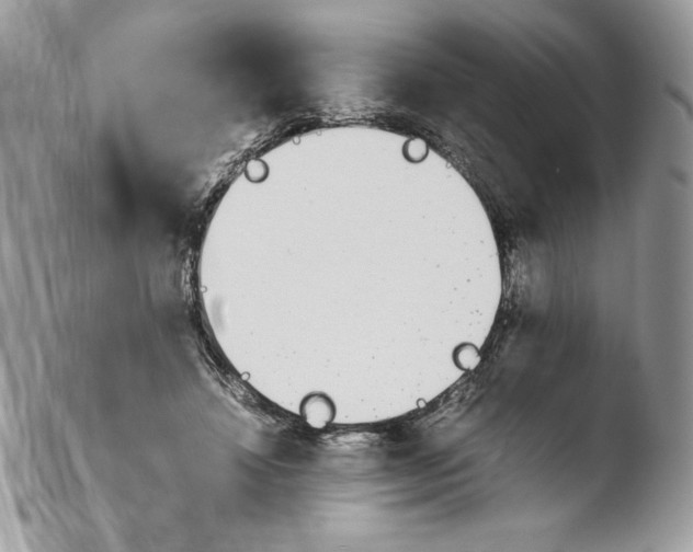 X0000103940452200810171819