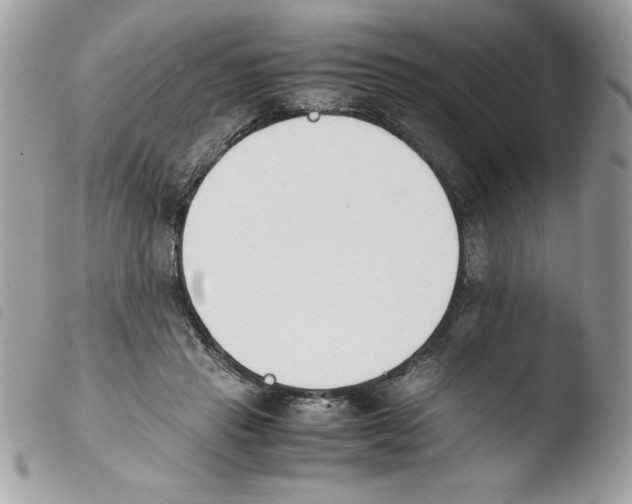 X0000103940453200810171819