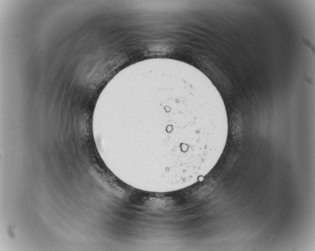 X0000103940455200810171819