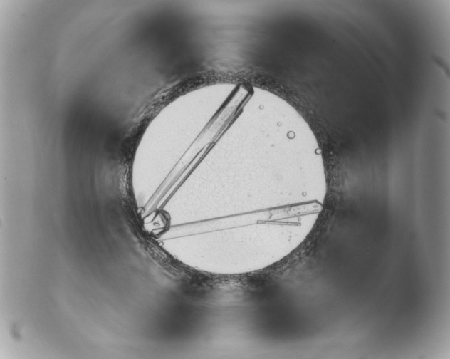 X0000103940456200810171819