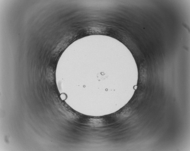 X0000103940457200810171819