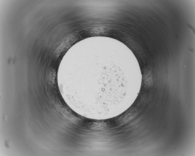 X0000103940458200810171819