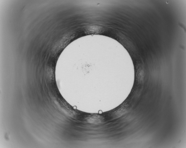 X0000103940459200810171819