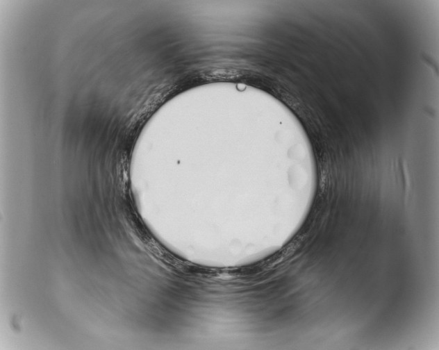 X0000103940460200810171819