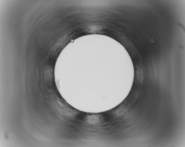 X0000103940461200810171819