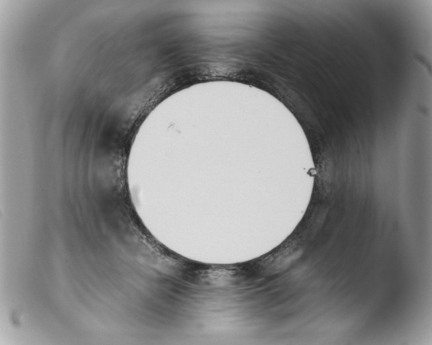 X0000103940462200810171819