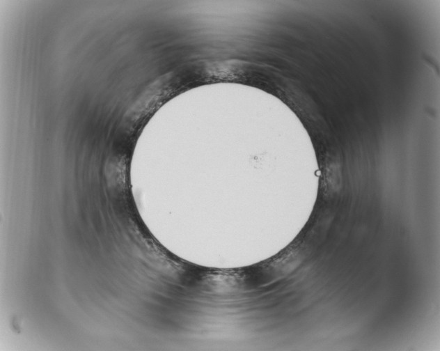 X0000103940466200810171819