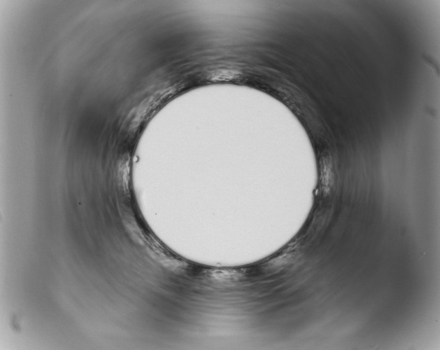 X0000103940468200810171819