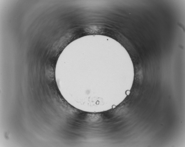 X0000103940469200810171819