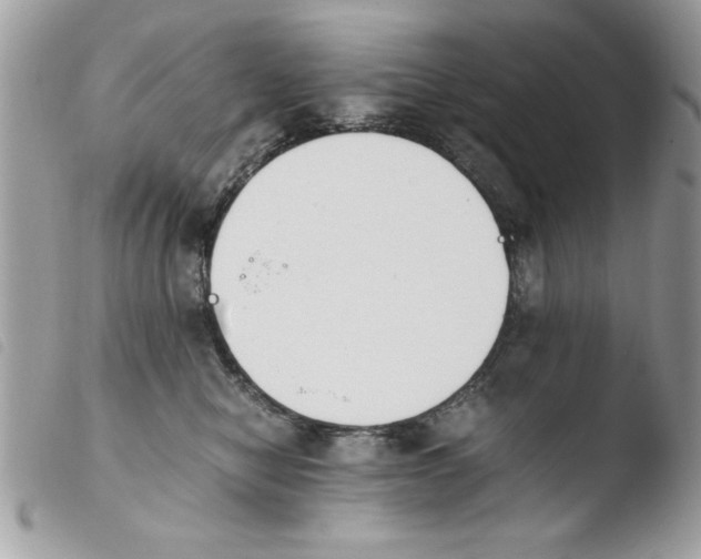 X0000103940470200810171819