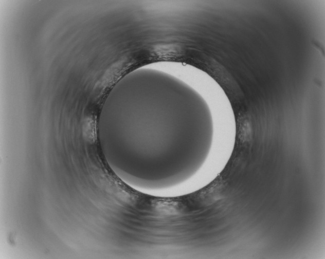 X0000103940471200810171819