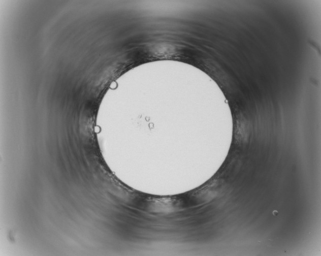 X0000103940473200810171819