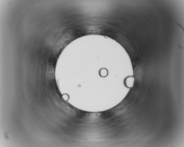 X0000103940474200810171819