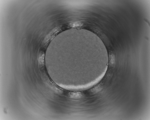 X0000103940475200810171819