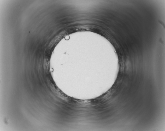 X0000103940476200810171819