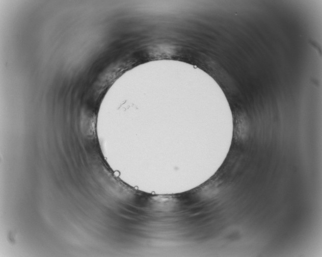 X0000103940477200810171819