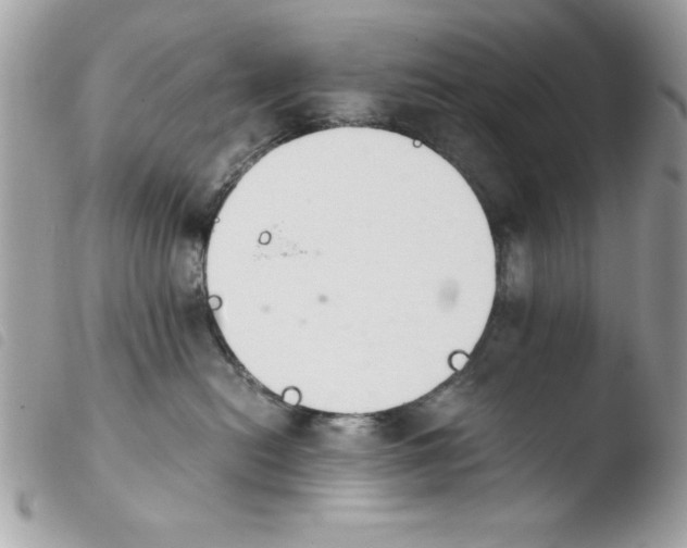 X0000103940478200810171819