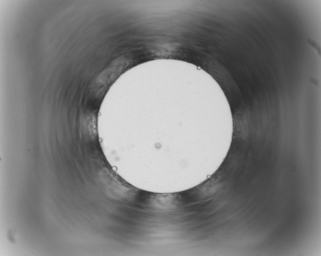 X0000103940479200810171819