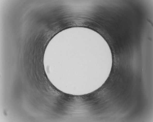 X0000103940481200810171818