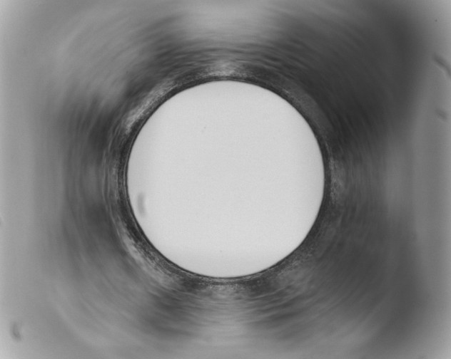 X0000103940482200810171818