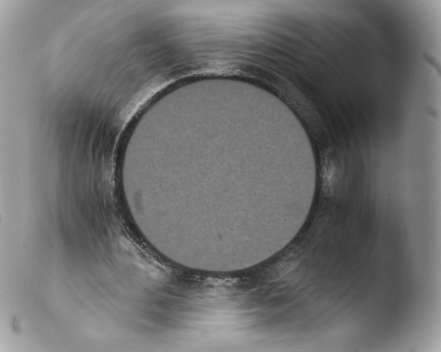 X0000103940484200810171818