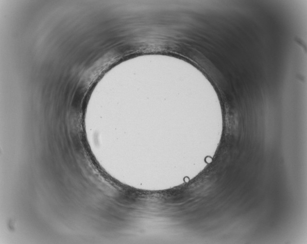 X0000103940485200810171818