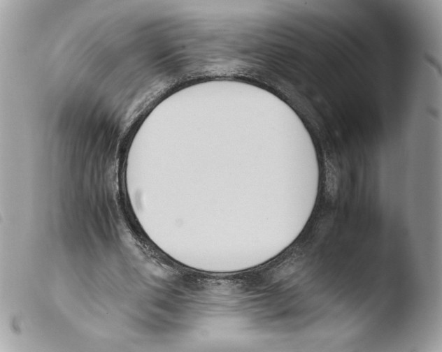 X0000103940486200810171818