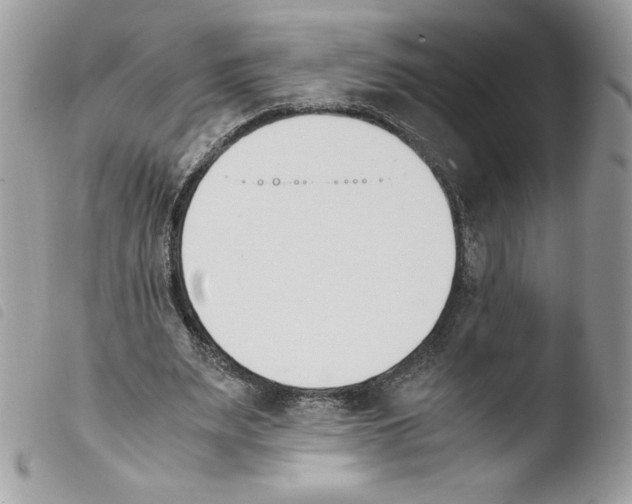 X0000103940487200810171818